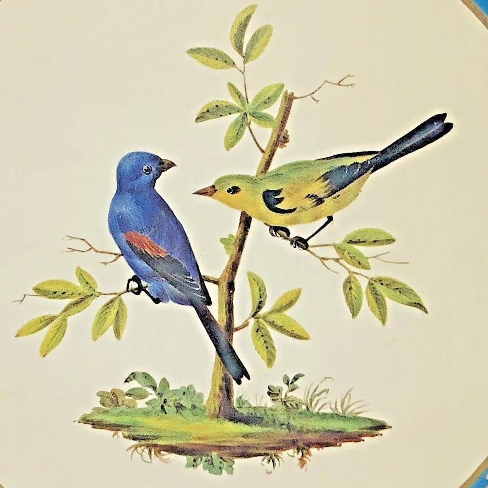 VTG Clover Leaf Wild Bird Cork Trivet Hot Pad King Fisher Golden Finch Set Of 3
